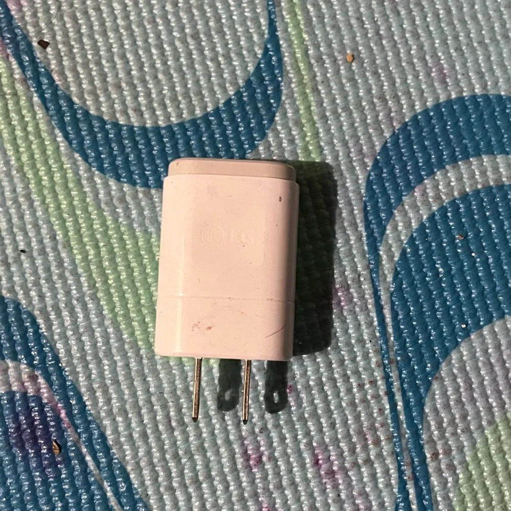 LG White Travel Adapter